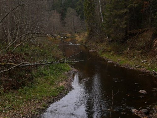 Новгородская область, река Волма