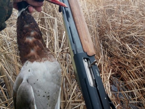 Матерый!