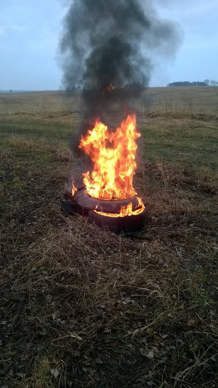 Сжигаем найденую сохшую лису