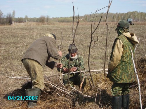 вот так)
