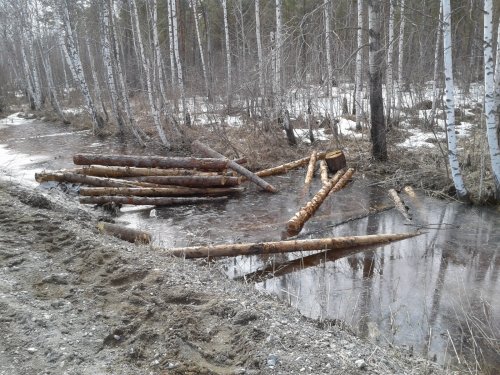 Северный район. Новосибирская обл. Жирует народ.