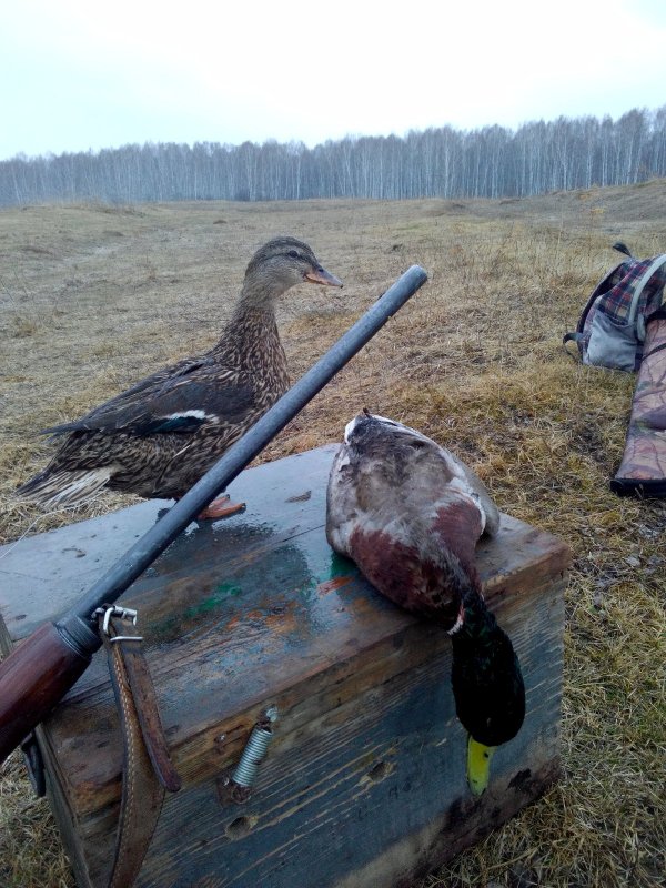 С праздником друзья!