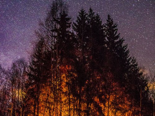 Закрылись посиделками у костра.