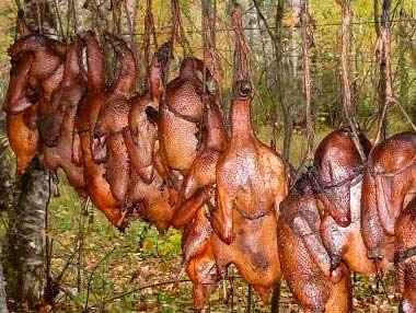 Коптим дичь в полевых условиях