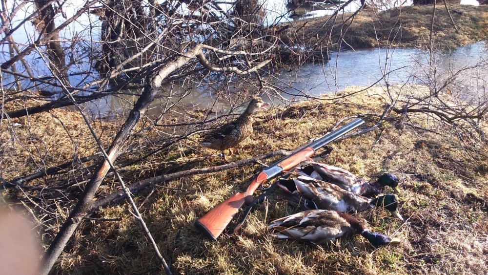 Второй день открытия!!!