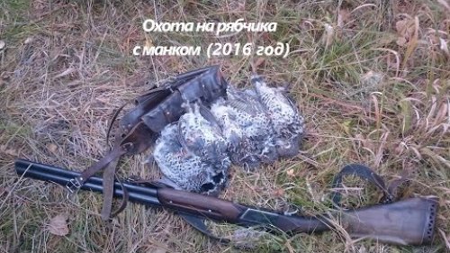 Охота на рябчика с манком