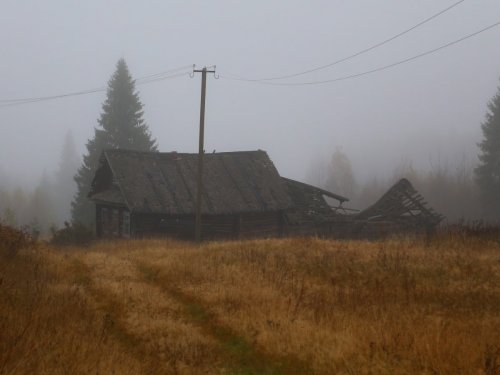 Новгородская область. Недолго ему осталось...