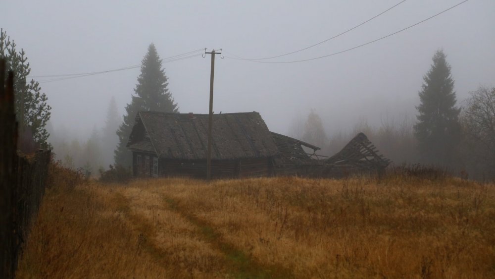 Новгородская область. Недолго ему осталось...