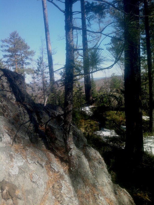В камне