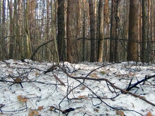 Апрель.