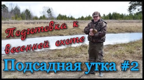 Подсадная утка и охота с ней №2