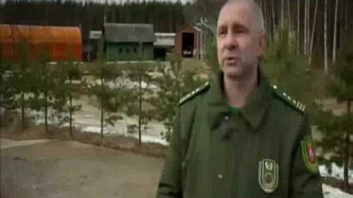 Борьба с браконьерством