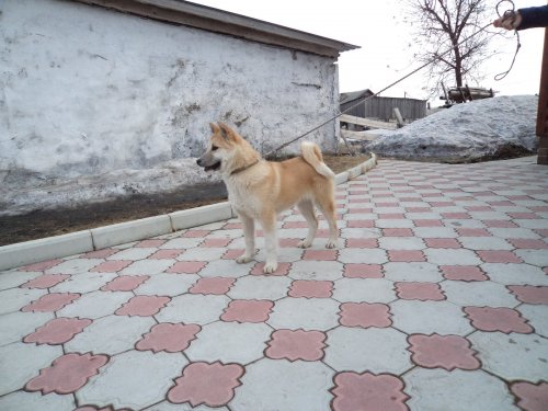 Кураж