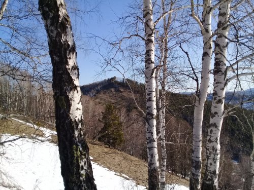 весна в горах
