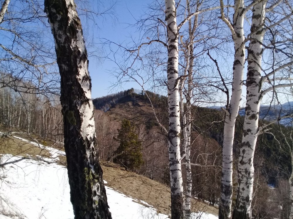 весна в горах