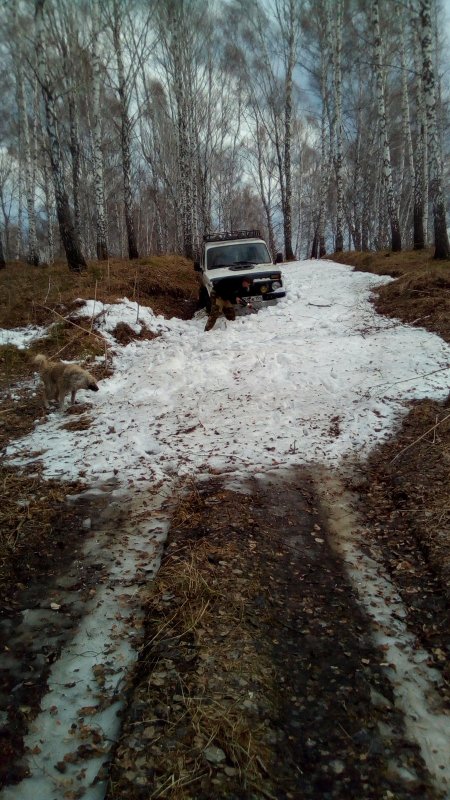 На охоту