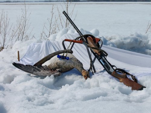 Открылся на гуся