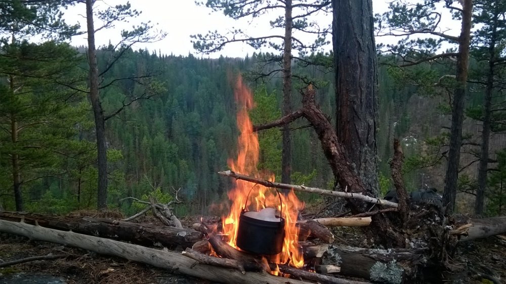 Чай