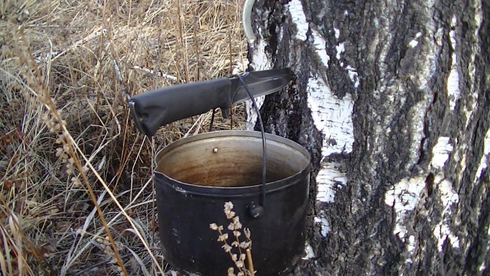 напьюсь