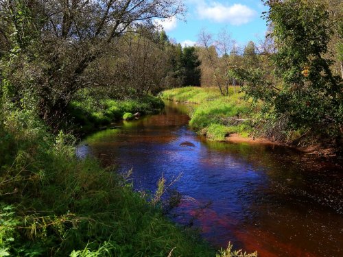 Новгородская область, Окуловский район, река Волма.