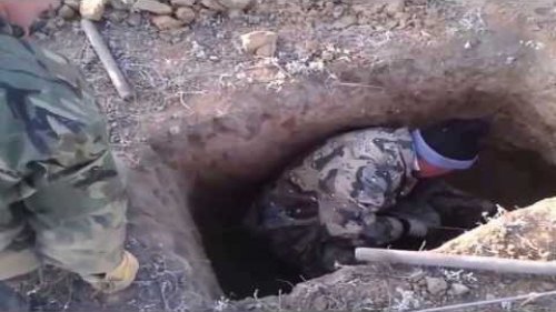 Охота на барсука.