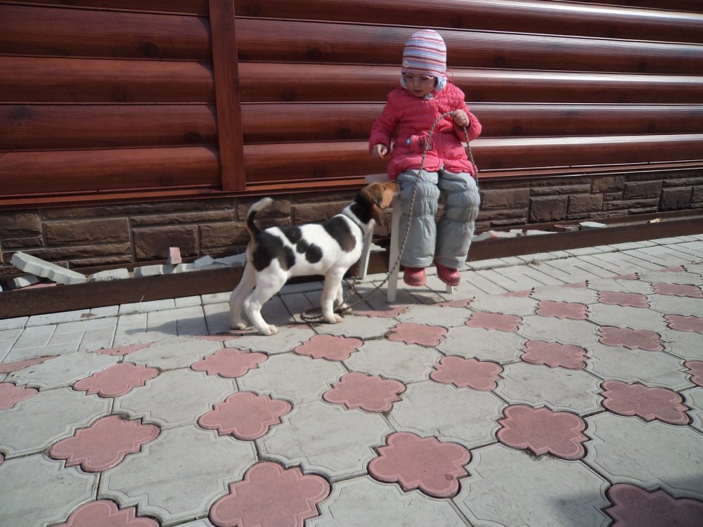 Кумач