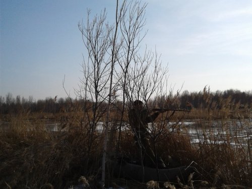 Брат в засаде.