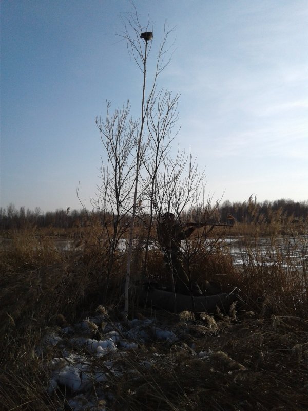 Брат в засаде.
