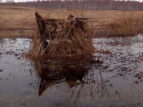 Напарник )