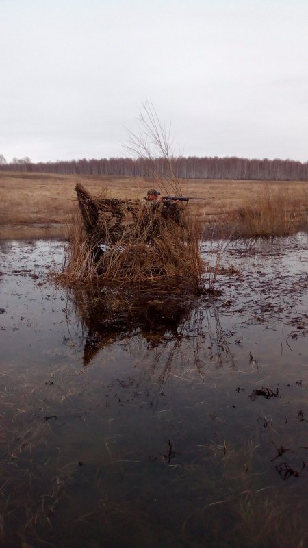 Напарник )