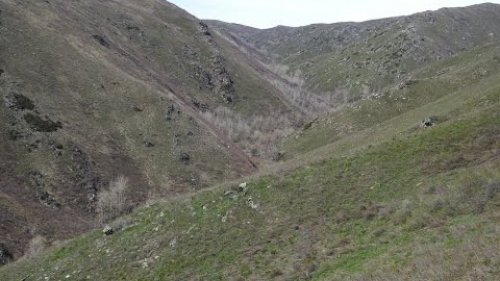 Охота на медведя в Казахстане