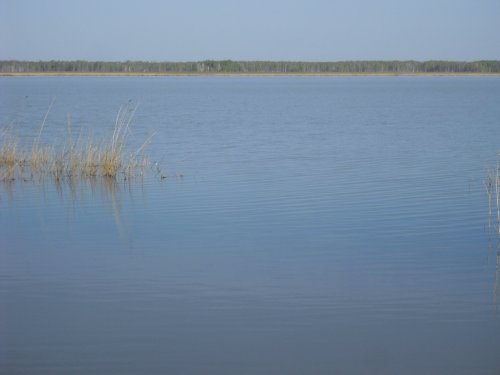 Красота на озере!