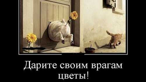ЮМОР НА ОХОТЕ И РЫБАЛКЕ )))
