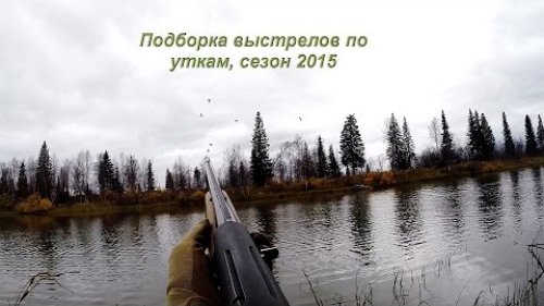 Охота на уток, замедленные выстрелы в лет с МР-155