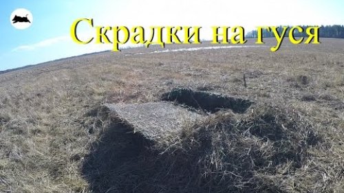 Скрадки на гуся