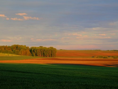 Курская область, Беловский район