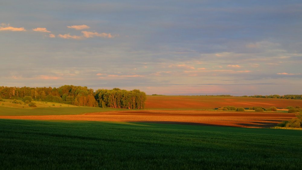 Курская область, Беловский район