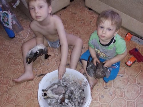 Семейный подряд