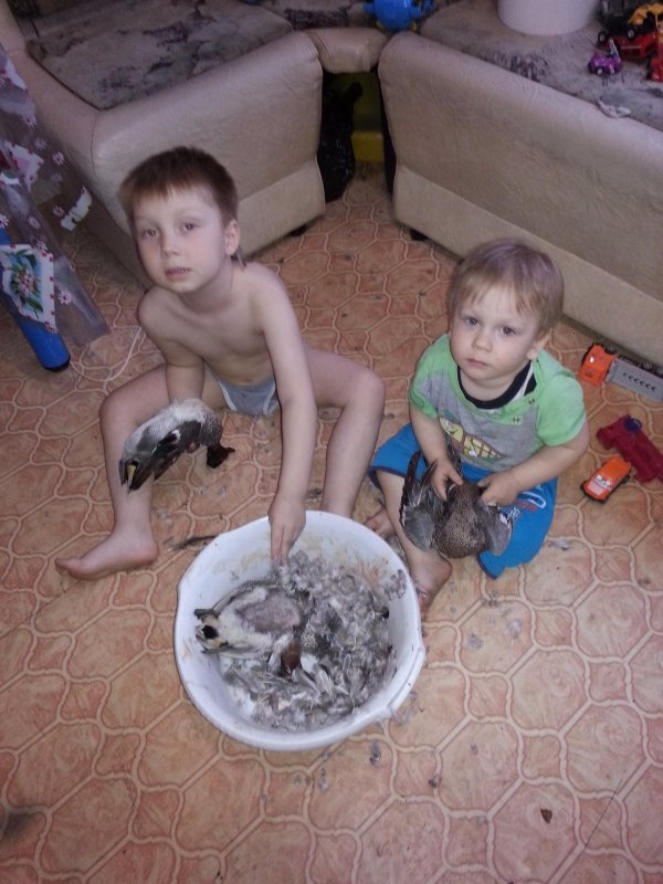 Семейный подряд
