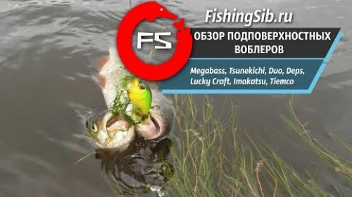 Лучшие уловистые воблеры на щуку и окуня