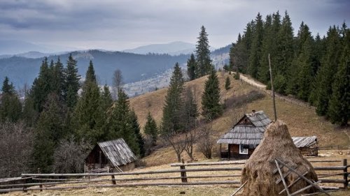 Отшельная жизнь диких народов Севера! Оленеводы.
