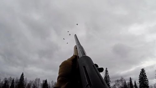 Охота. Яркие моменты. +18. МР-155.