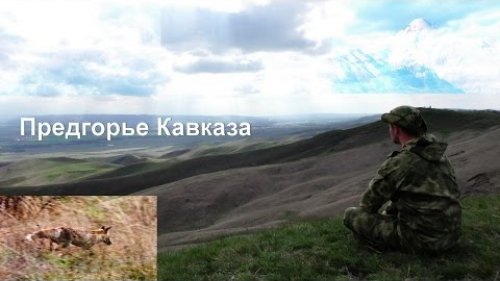 Природа предгорья Кавказа.