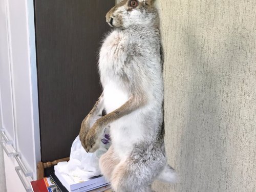 классика