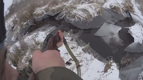 Охота на бобра с ружьем зимой, выстрел по бобру