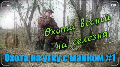 Охота весной на селезня кряквы с духовым манком.