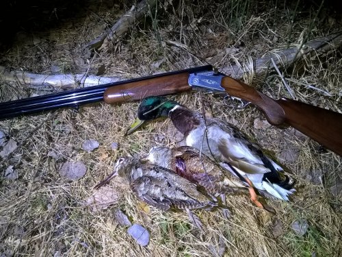 Вот и до валюша добрался плюс приятный бонус