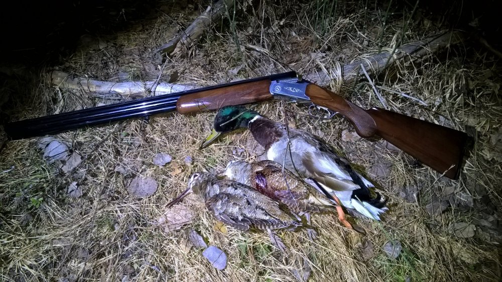 Вот и до валюша добрался плюс приятный бонус