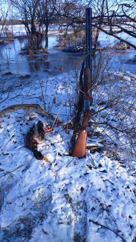 Вот такое вот у нас было сегодня закрытие!!!