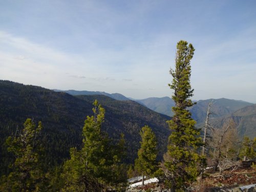 Жара